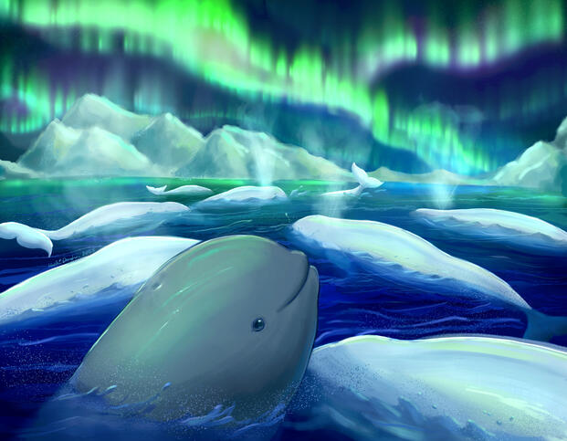 Half Body, Complex Background